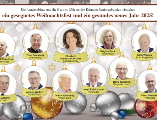 Gesegnetes Weihnachtsfest und ein gesundes neues Jahr 2025!